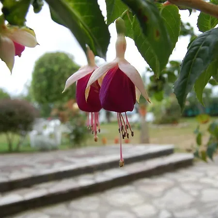 Casa Fidel Dom wakacyjny